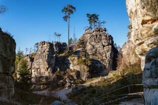 P1130288_edit