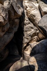 P1130295