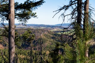 P1130337_edit