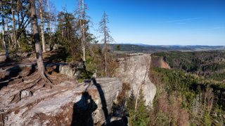 P1130352_edit