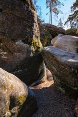 P1130453_edit