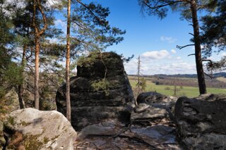 P1130495_edit