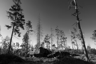 P1130321-01