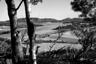 P1130346-01