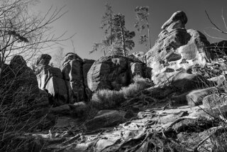 P1130378-01