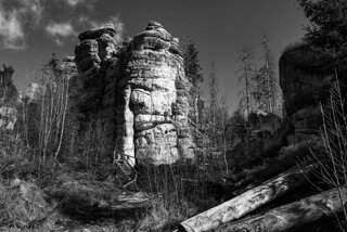 P1130398-01