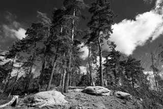 P1130413-01
