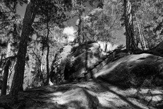P1130448-01