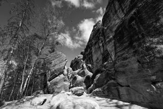 P1130464-01