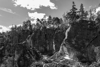 P1130491-01