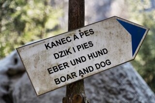 P1130936_edit