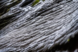 P1131000_edit