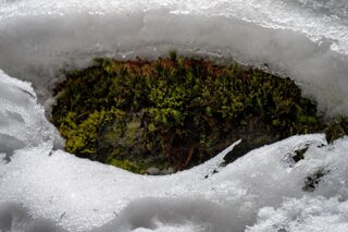 P1131008_edit