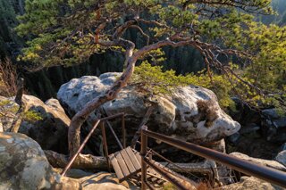 P1131094_edit