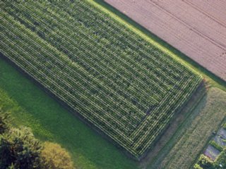 ballonfahrt_065