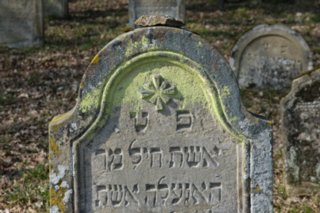 20110308_schoental_063