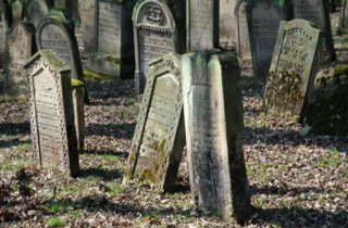 20110308_schoental_083