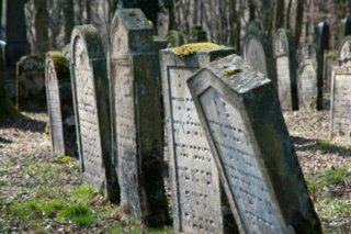 20110308_schoental_086