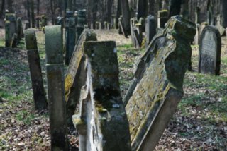 20110308_schoental_126