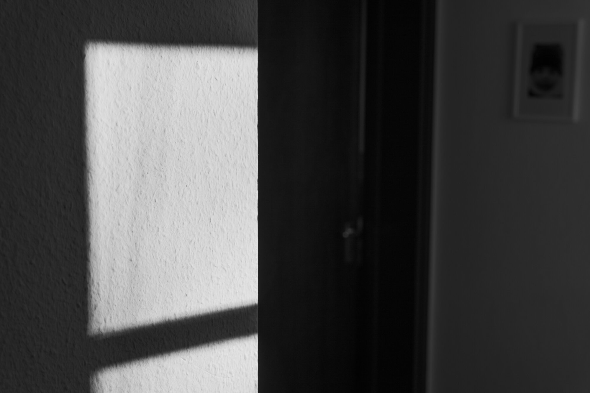 P1000207 