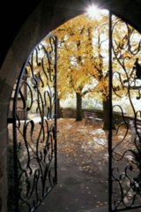 tueren_060