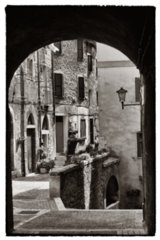 2005-08-23_11-00-36-bearb-bw