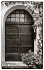 2005-08-23_11-06-33-bearb-bw