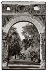 2005-08-26_17-17-40-bearb-bw