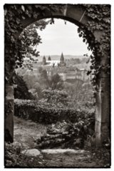20090426_0014_3-bearb-bw