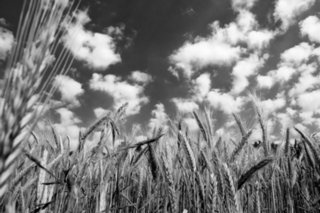 20100628_jagsttal_037-bearb-bw