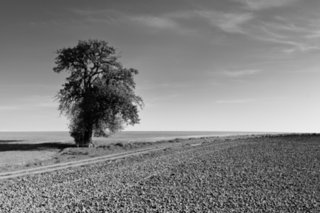20101011_stetten_tierberg_088-1-bearb