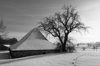 20110105_wackershofen_schnee_078-bearb-bw