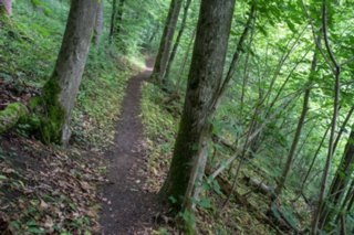 20120602_vellberg-geislingen_005