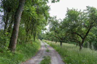 20120602_vellberg-geislingen_006