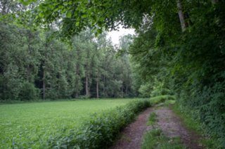 20120602_vellberg-geislingen_009