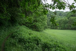 20120602_vellberg-geislingen_011