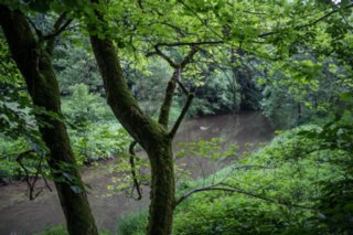 20120602_vellberg-geislingen_017