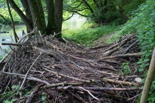 20120602_vellberg-geislingen_044