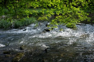 20120602_vellberg-geislingen_058