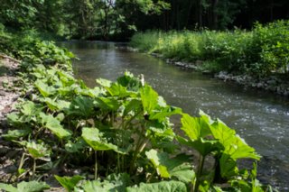 20120602_vellberg-geislingen_061