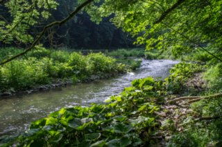 20120602_vellberg-geislingen_063