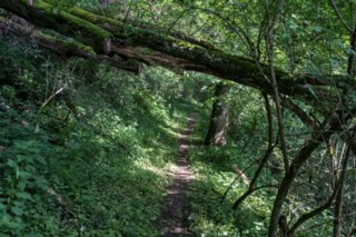 20120602_vellberg-geislingen_064