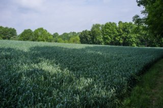 20120602_vellberg-geislingen_065