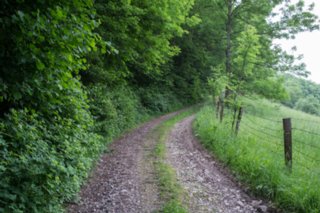 20120602_vellberg-geislingen_074