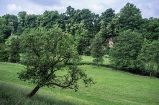 20120602_vellberg-geislingen_086