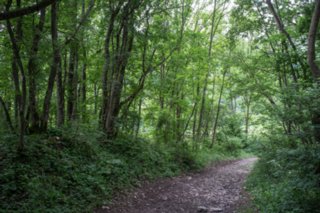 20120602_vellberg-geislingen_089