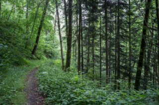 20120602_vellberg-geislingen_103