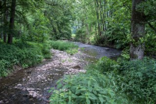 20120602_vellberg-geislingen_104