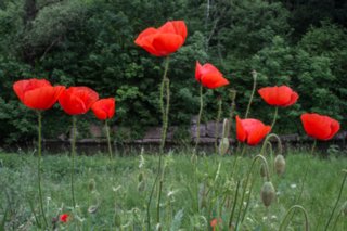 20120602_vellberg-geislingen_110