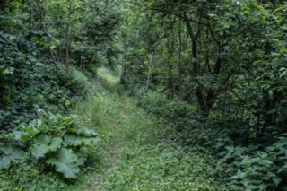 20120602_vellberg-geislingen_111
